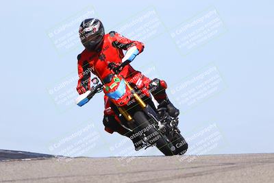 media/Mar-22-2025-TrackDaz (Sat) [[0456df0c41]]/Group C/Session 2 (Grapevine)/